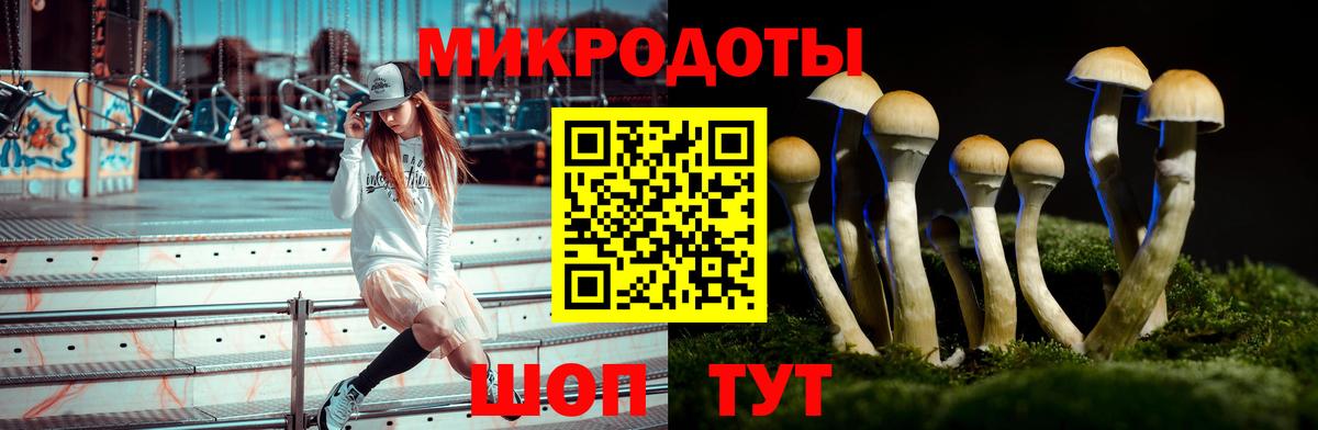 Апатиты  Псилоцибиновые грибы мухоморы  Вход с VPN 